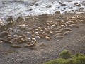 Carpinteria California 2010-02 0680
